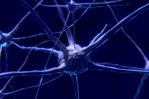 blockchain, content, web 2.0, P2P
